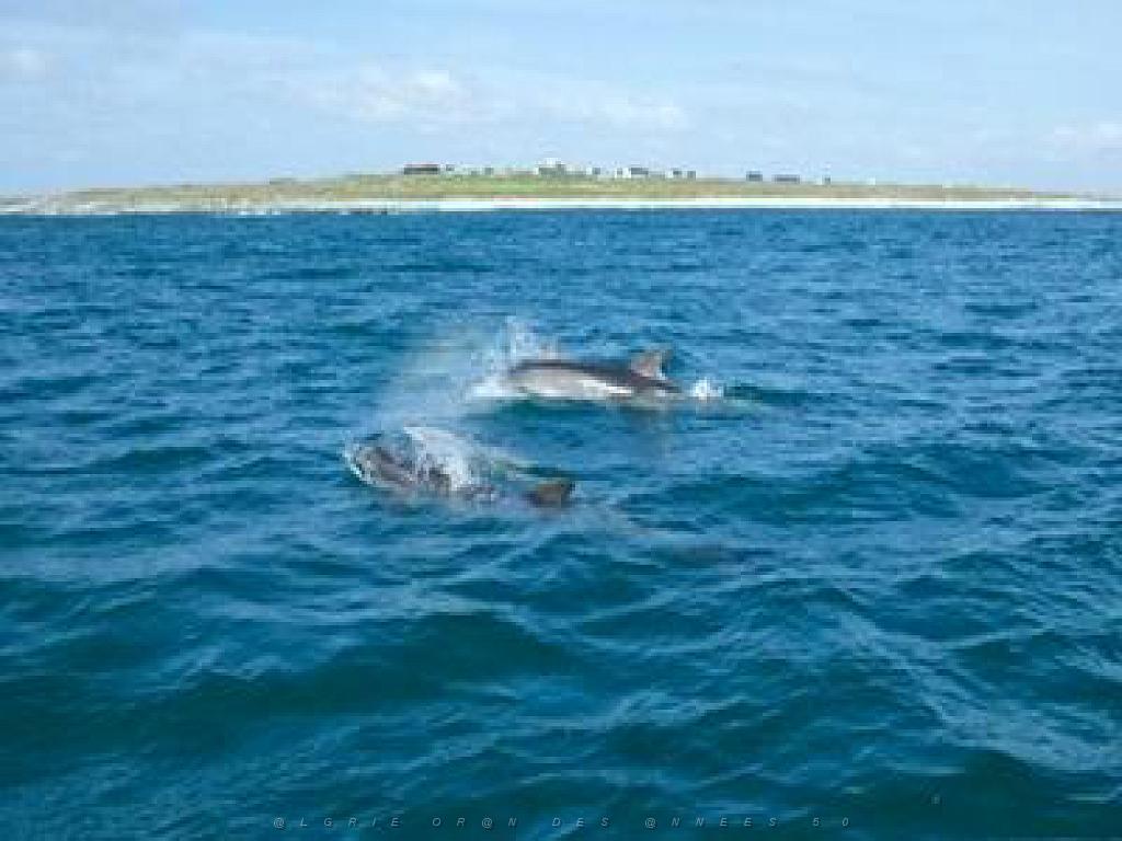 129 ILE DE MOLENE_000045.jpg